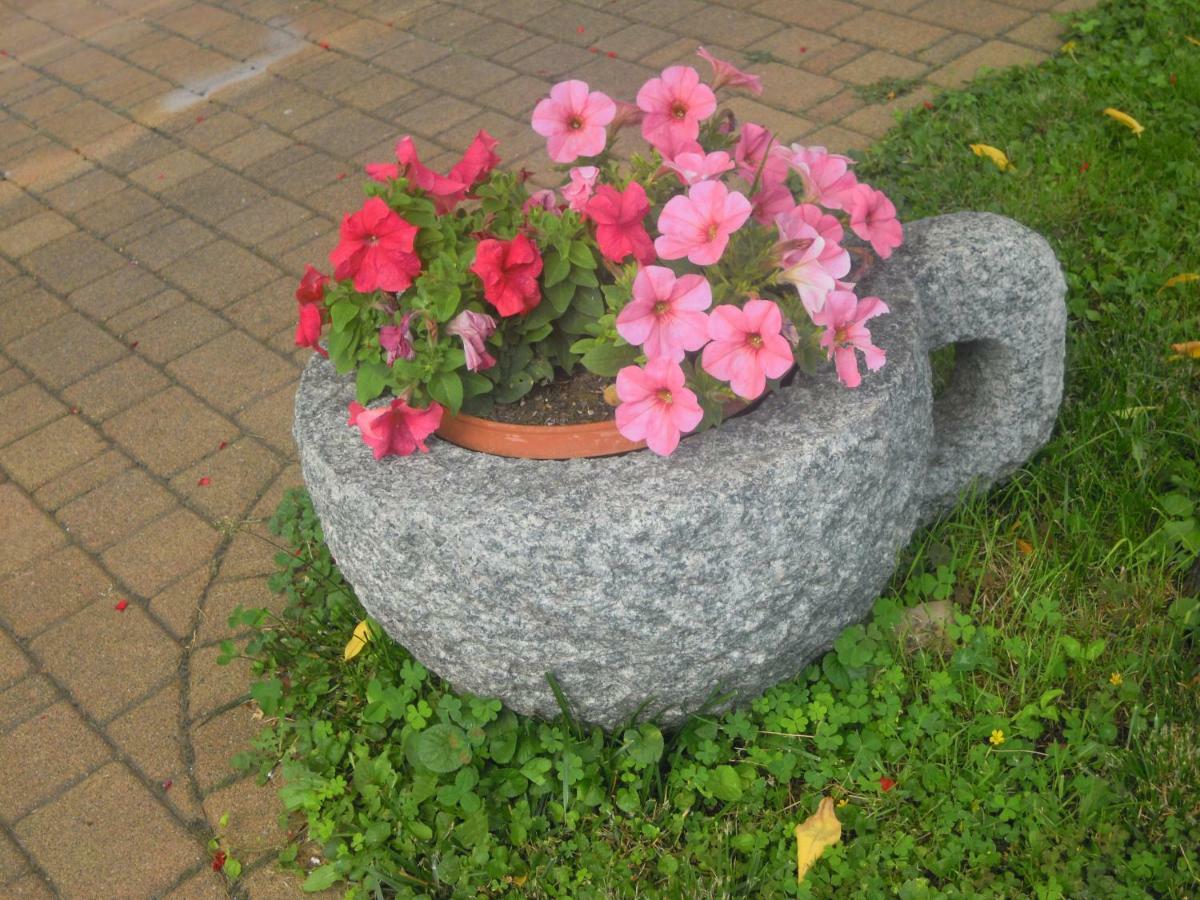 Il Nido Del Merlo Parcheggio E Giardino Verbania Eksteriør billede